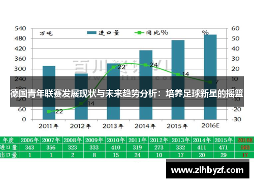 德国青年联赛发展现状与未来趋势分析：培养足球新星的摇篮